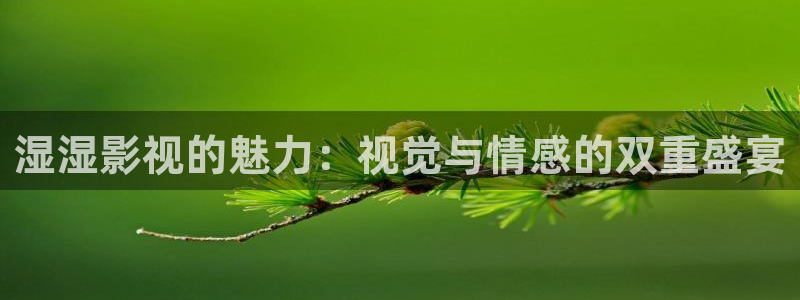 飘雪影院在线观看电影
