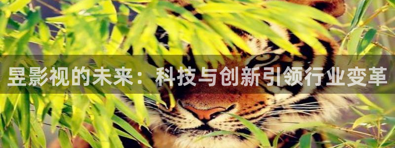 久久久久久影院久久飘雪影院：昱影视的未来：科技与创新引领行业变革
