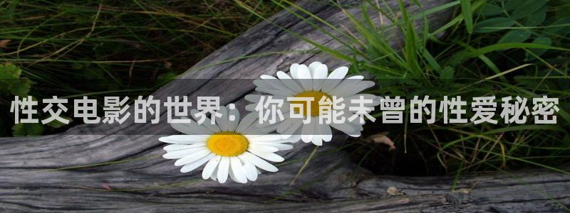 飘雪影院完整版在线观看视频