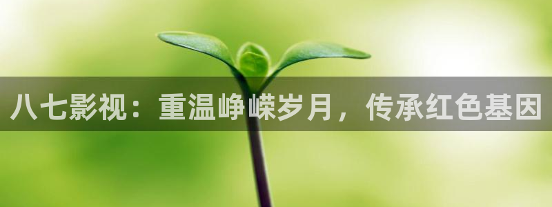 飘雪影院免费版在线观看：八七影视：重温峥嵘岁月，传承红色基因