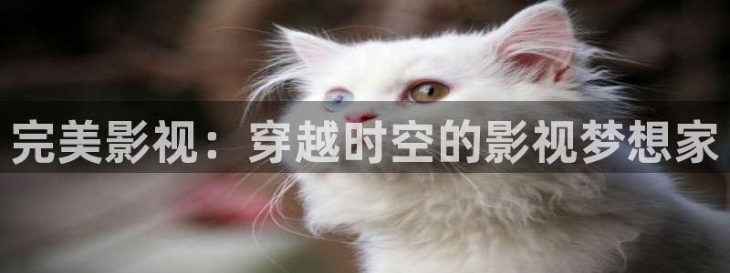 飘雪影院观看免费完整版高清电影：完美影视：穿越时空的影视梦想家
